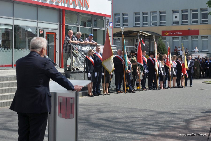 143 Patriotyczna manifestacja.jpg